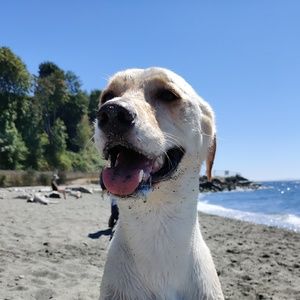 Meet your Posher, James